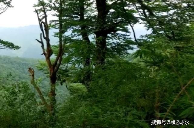 持续更新 | 新疆阿克苏地区乌什县发生7.1级地震
